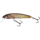 Wobler Salmo Minnow 7cm - Floating - Grayling